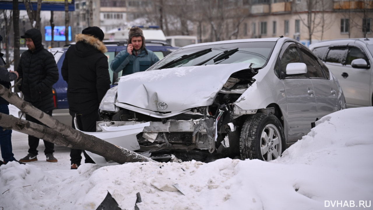 Дерево упало в результате столкновения двух Prius на Карла Маркса (ФОТО)