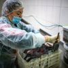 Раскладка продуктов — newsvl.ru