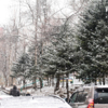  — newsvl.ru