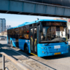 Автобус № 77, 13 января — newsvl.ru