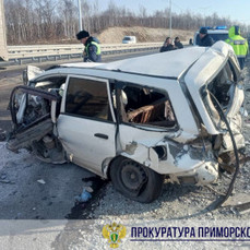 Универсал столкнулся с тягачом в Надеждинском районе, погиб человек