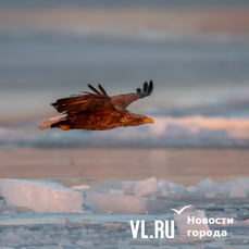 Сегодня во Владивостоке до -3 °C