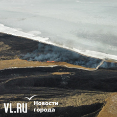 Площадь природных пожаров в Приморье за сутки выросла почти вдвое