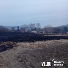 Пожароопасный сезон в Приморье: что делать, чтобы уберечь от огня свой дом и участок