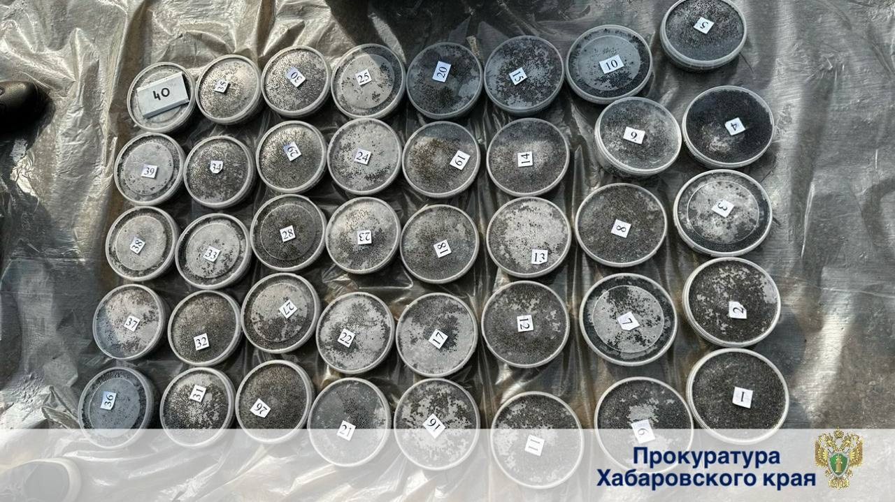 Комсомольчане везли в Хабаровск 300 килограммов осетровой икры