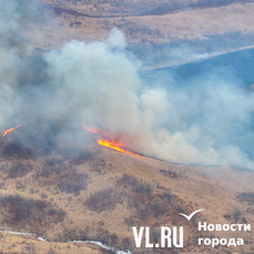 Природный пожар, затронувший территорию нацпарка &laquo;Земля леопарда&raquo;, потушили в Приморье