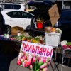 «Черёмушки» — newsvl.ru