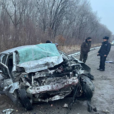 Ребёнок и мужчина погибли в ДТП с большегрузом в Приморье