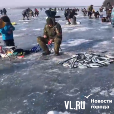 «Берите больше, ещё берите!» В Амурском заливе рыбаки вёдрами и мешками ловят селёдку 