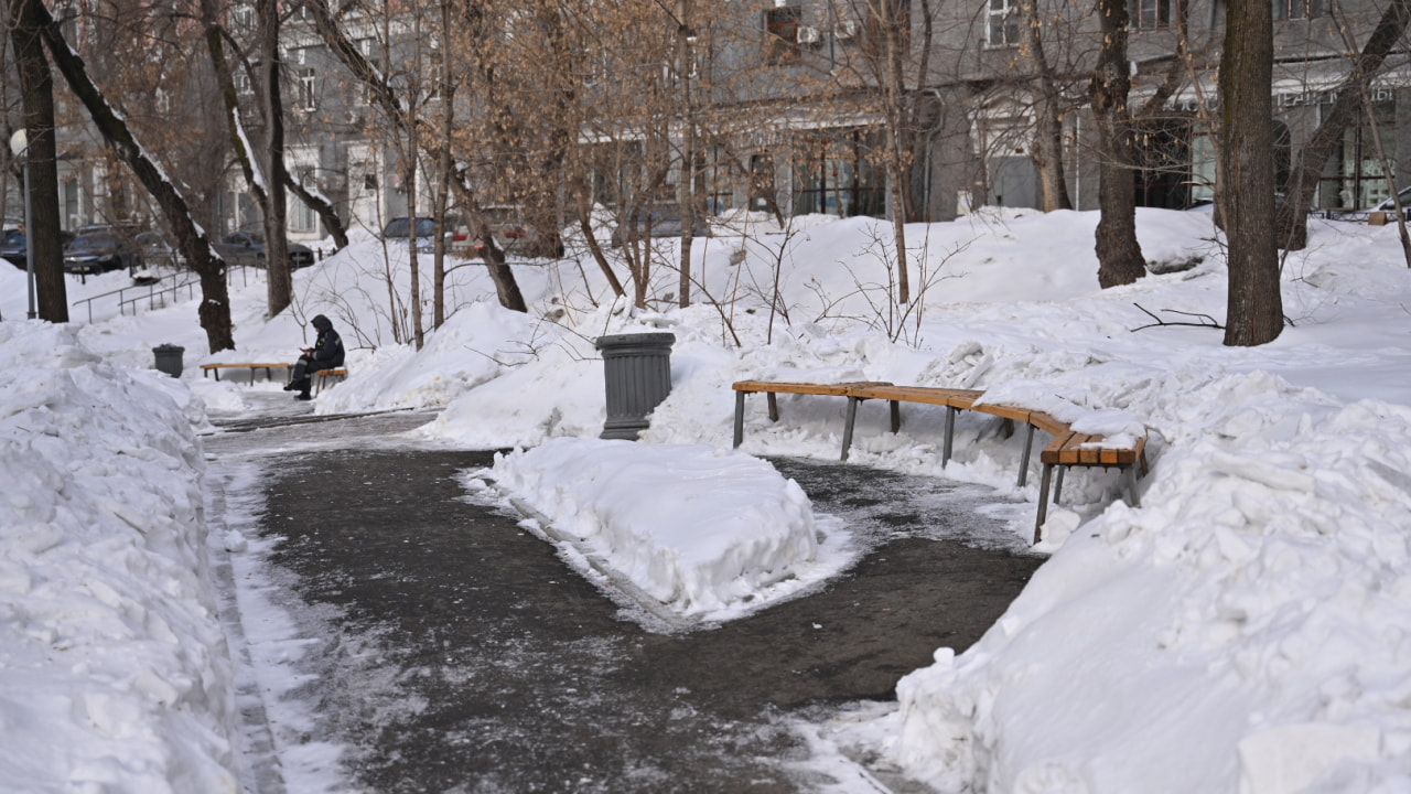 Подозрения в накрутке: за обустройство скверов соревнуются хабаровчане (ФОТО)