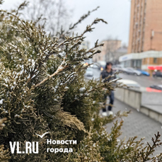 Весенний снег освежает Владивосток и усугубляет пробки на дорогах