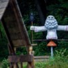 Фото 2015 года — newsvl.ru