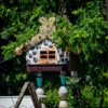 Фото 2015 года — newsvl.ru