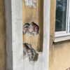 В районе «Дальзавода» есть два здания в крайне удручающем состоянии — newsvl.ru