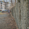  — newsvl.ru