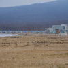 Разбросанные по берегу кучи водорослей добавляют свою нотку к солёному аромату моря — newsvl.ru