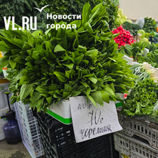 Диким чесноком по &laquo;диким&raquo; ценам начали торговать в магазинах и рынках 