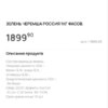  — newsvl.ru