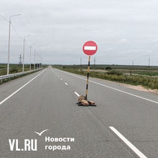 Проезда в шесть сёл Приморья нет после дождей