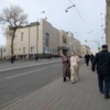  — newsvl.ru