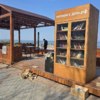 Кажется, она переехала вместе с мусором — newsvl.ru