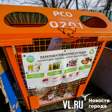 Часть оранжевых контейнеров, вывезенных с улиц Владивостока, могут вернуть