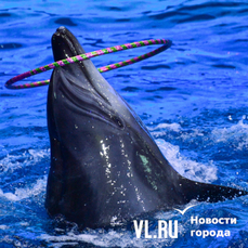 В Приморском океанариуме умерла самая молодая дальневосточная афалина