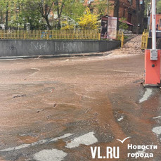 Гидравлические испытания начались с прорыва на Пушкинской – река горячей воды добралась до Цесаревича