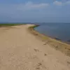 Пляж. Фото: администрация Владивостока — newsvl.ru