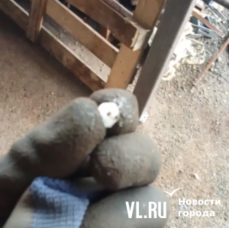 На Второй Речке выпал град (ВИДЕО)