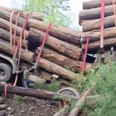 Рядом с селом Мельничное под тяжестью лесовоза рухнул мост