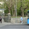 На Покровском парке не работают светофоры — newsvl.ru