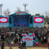 — newsvl.ru