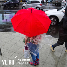 Новая неделя в Приморье начнётся с дождей разной интенсивности