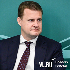 Строить город-спутник Владивостока планируют до 2055 года