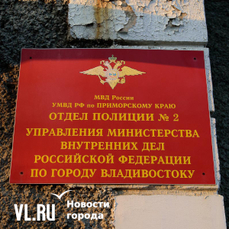 Больше IT-преступлений и мигрантов-нелегалов: глава МВД по Владивостоку выступил в Думе с отчётом за 2024 год