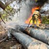 Фото: МЧС по ПК — newsvl.ru