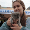  — newsvl.ru