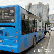 Во Владивостоке в автобусе нашли страйкбольную гранату