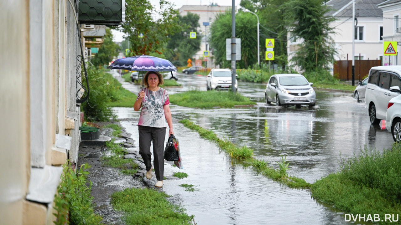 Дождливая неделя ожидает хабаровчан