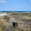 Патрокл — newsvl.ru