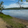 Новик — newsvl.ru