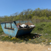 Вятлина — newsvl.ru
