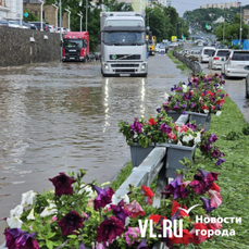 Завтра во Владивостоке ожидается сильный дождь и ветер до 22 м/с