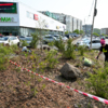 Волонтёры до сих пор приезжают, чтобы ухаживать за новой зелёной площадкой — newsvl.ru