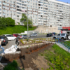 Когда сторонников станет тысячи, волонтёры хотят заняться работой покрупнее – начать делать целые парки — newsvl.ru
