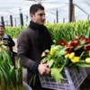 2014. Цветы к 8 Марта — newsvl.ru
