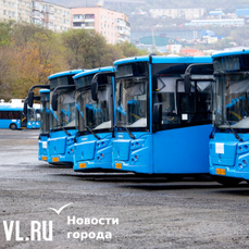 Часть городских автобусов изменят маршруты в связи со строительством трубопровода на Снеговой