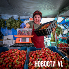 На рынках Владивостока горожане встают в очередь за клубникой, жимолостью и &laquo;незамужней&raquo; картошкой (ФОТО)