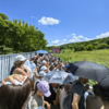  — newsvl.ru